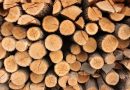 Trei transporturi ilegale de material lemnos identificate și confiscate de polițiști la Sucevița, Hănțești și Vicovu de Sus