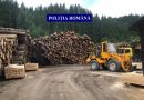 41,5 metri cubi de lemn fără acte,  confiscați de polițiști în cursul zilei de ieri￼