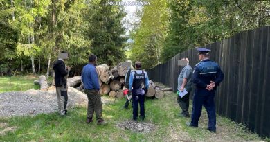 Peste 100 metri cubi de lemn tăiat ilegal confiscat și 4 ansambluri auto de transport valorând 100.000 de euro, indisponibilizate de  polițiștii suceveni, în ultimele două zile