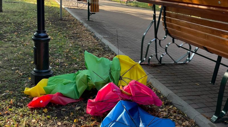 Aleea Umbrelelor din Parcul Rădăuțiului, vandalizată. ”Nu ne mai facem bine niciodată!”, constatarea tristă a primarului Bogdan Loghin