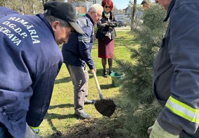 Primarul Ion Lungu a dat startul campaniei de plantări arbori în municipiul Suceava