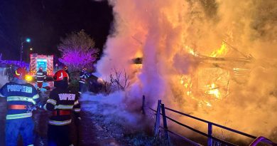 Gospodărie incendiată de o mână criminală, la Marginea. Patru ore s-au luptat pompierii cu flăcările