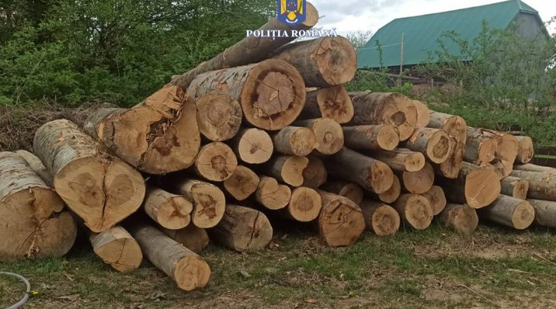 Ansamblu auto în valoare de 60.000 euro confiscat de polițiștii din Sucevița pentru transport ilegal de lemn